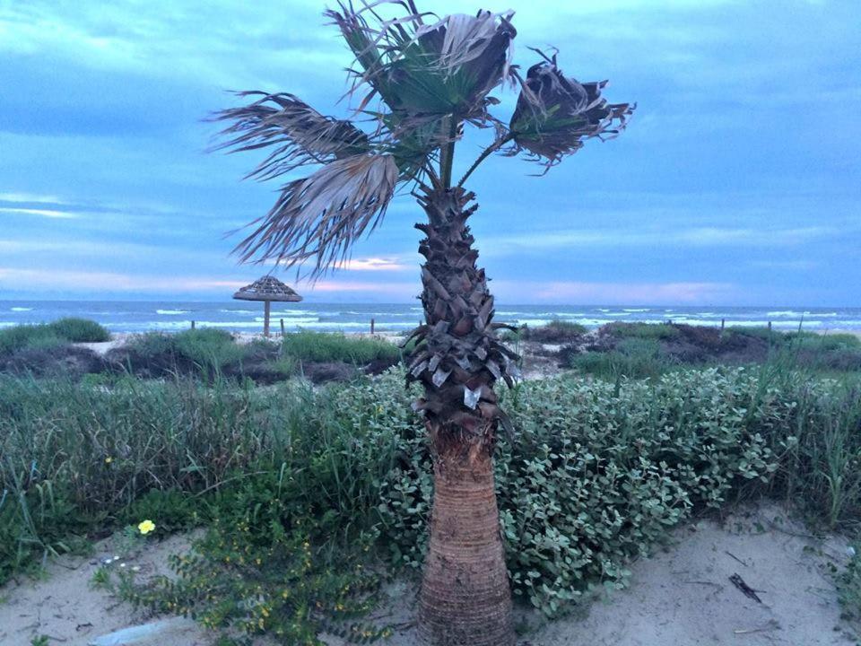Unobstructed Oceanfront Sea Turtle Unit 2 Beach Pad! Surfside Beach Exteriör bild