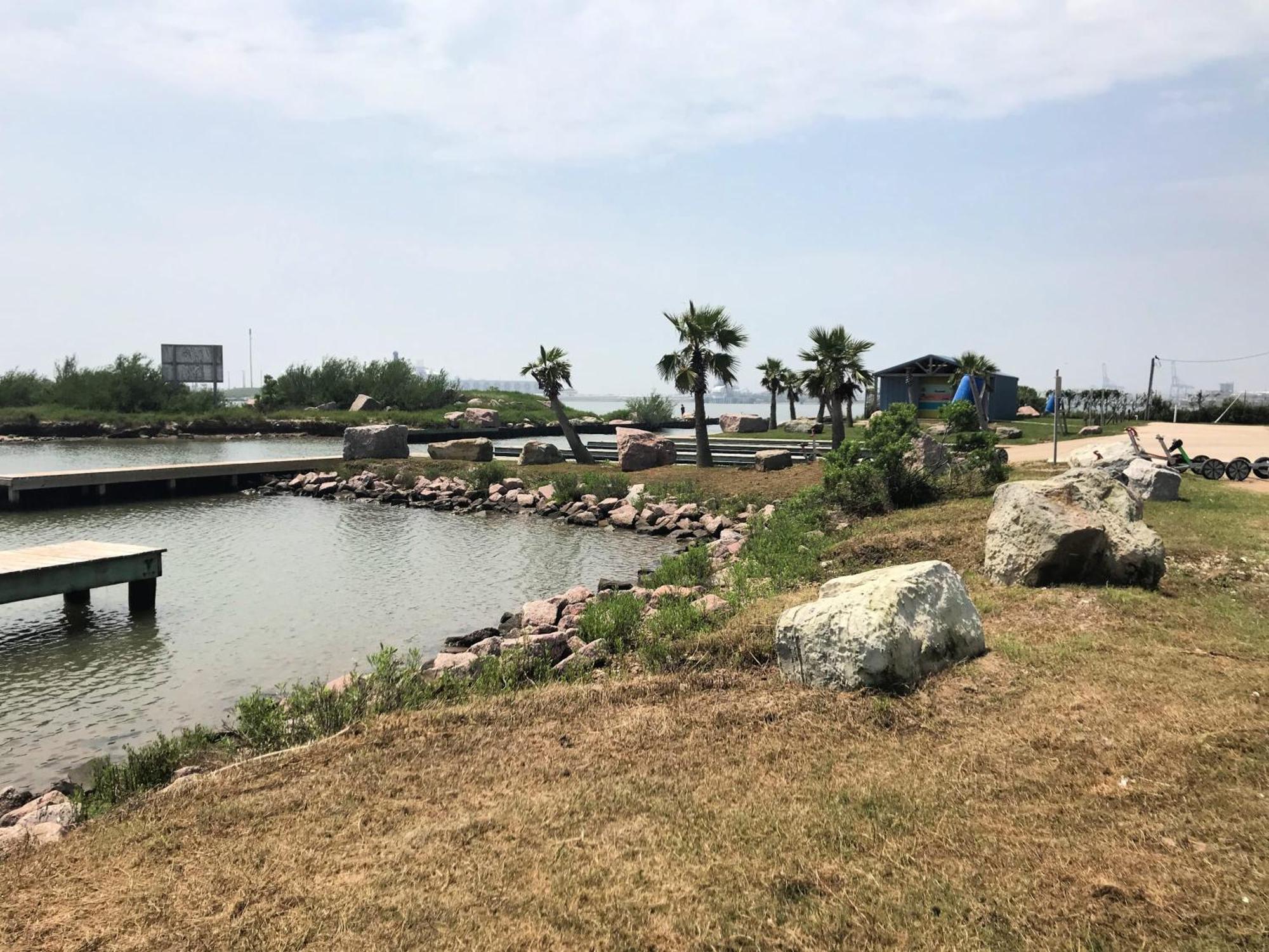 Unobstructed Oceanfront Sea Turtle Unit 2 Beach Pad! Surfside Beach Exteriör bild